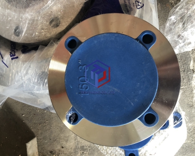 MẶT BÍCH INOX HIỆU CHICO