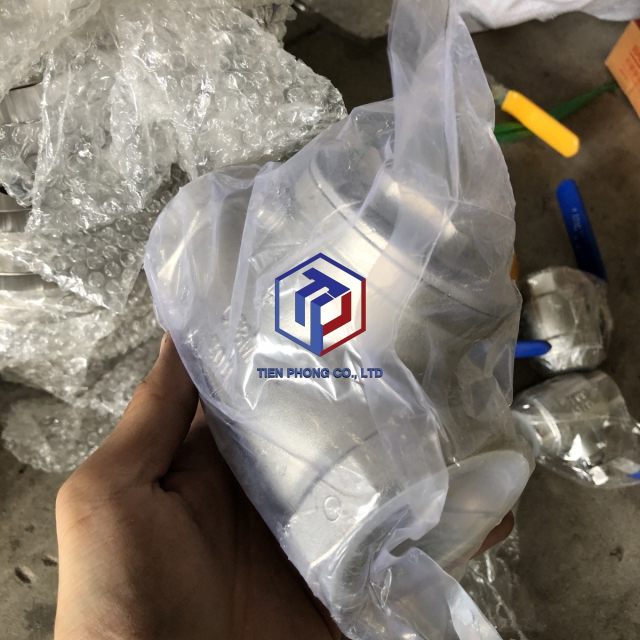 VAN MỘT CHIỀU REN INOX 304
